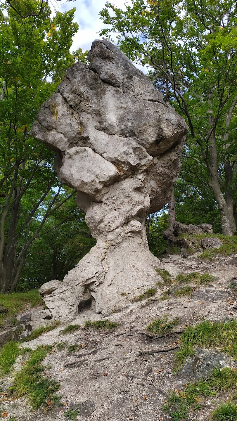 Kojšovský budzogáň